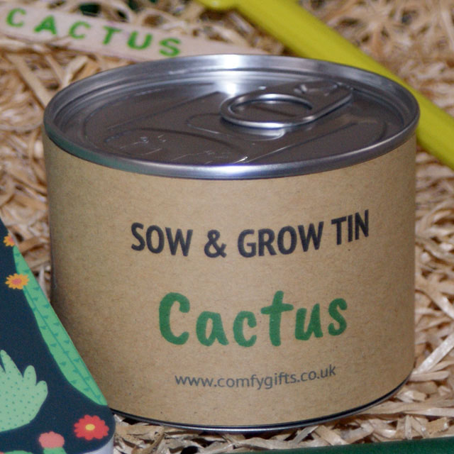 Fun grow your own cactus plants for children delivered