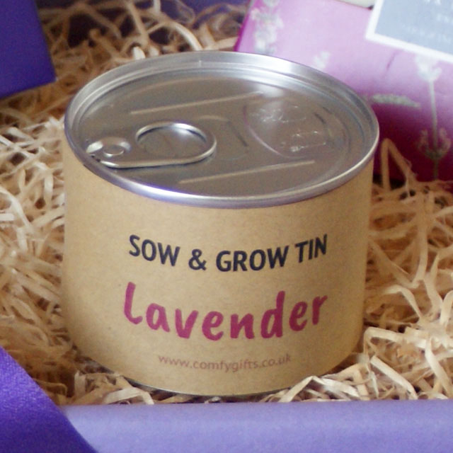Grow your own lavender get well soon gifts UK