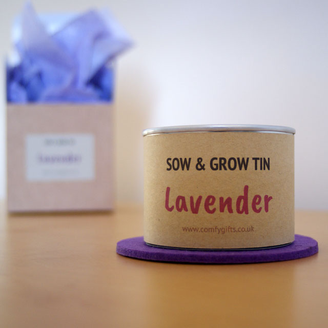 Lavender grow your own gift set for women