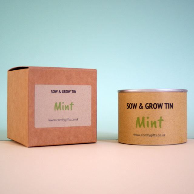 Mint plant get well gift ideas for her UK delivery